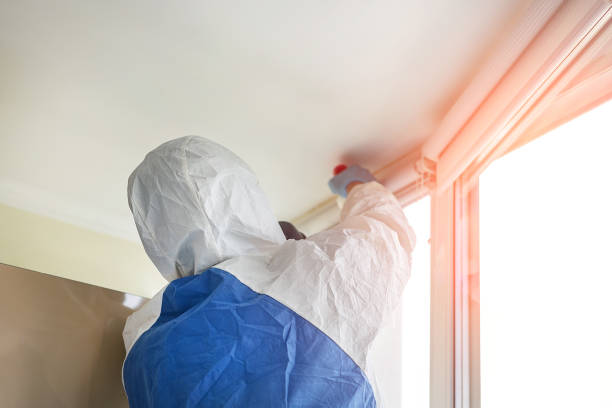 Best Black Mold Removal  in Winters, CA